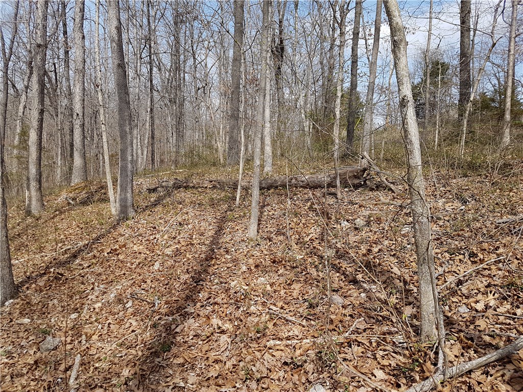 Wooded private building lot in beautiful Bella Vista.  Located in southern central Bella Vista with a quick commute to Bentonville.  Lot has a flat building area at the top then gently goes down to a creek.  Lot is across the street from 84 Rillington Drive.  Agent owned