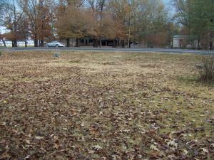 None - Residential