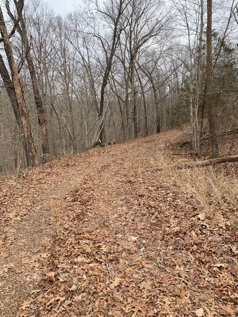 Beautiful property to build your dream home. Best of both worlds-live in a quiet area, with a mountain resort feel, but only minutes from shopping, art museums, and the bustle of town. Enjoy the Bella Vista amenities: public parks, golf courses, swimming pools, trails and lakes!