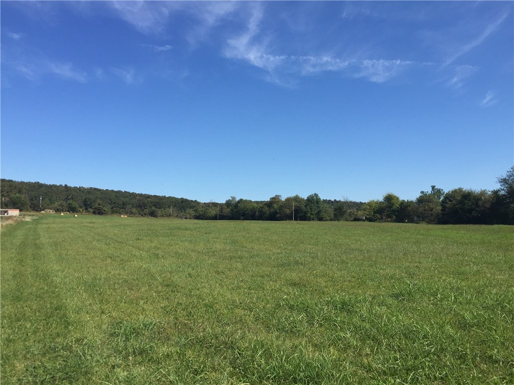 Open land perfect for agricultural use or for a new rural home site.