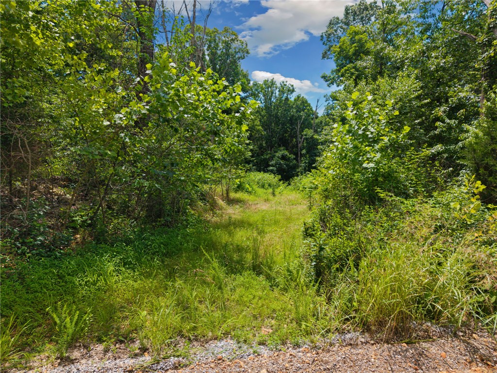 26-30-33 Rural - Land