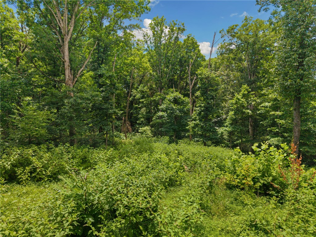 26-30-33 Rural - Land