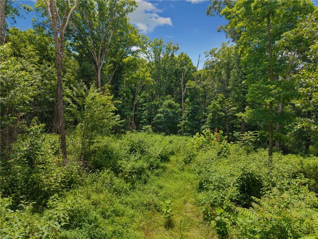 26-30-33 Rural - Land