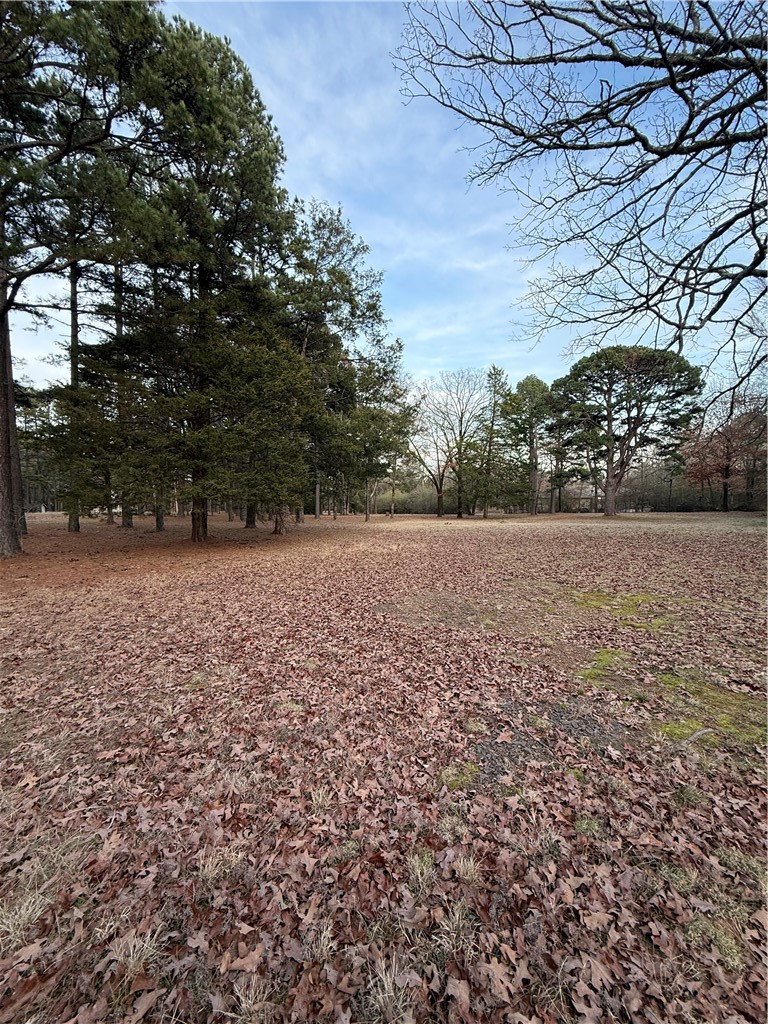 Discover your dream home site on this stunning 3-acre lot nestled in a desirable subdivision at the foot of Mount Nebo! This property offers the perfect blend of space and serenity, making it an ideal canvas for your future home. Imagine waking up and enjoying the tranquility of nature right at your doorstep.
Plus, you'll love the convenience of being close to walking and biking trails, perfect for outdoor enthusiasts and families alike. 
This property has all utilities, including septic tank, already in place.
Don't miss this incredible opportunity to build the home you've always wanted in a community that's both inviting and vibrant. Your dream lifestyle awaits!!