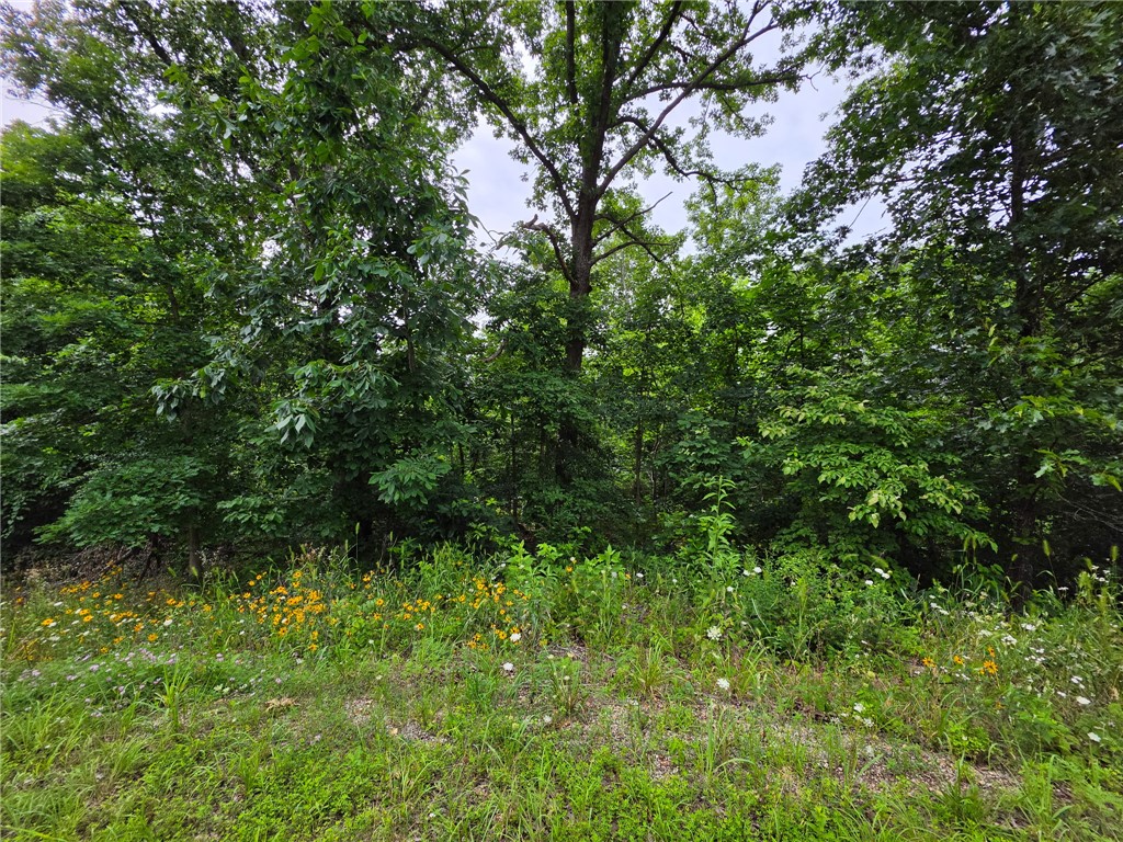 Slightly sloping lot near Lake Whitney and “Tunnel Vision” Mountain bike trail. Area of Newley built homes.