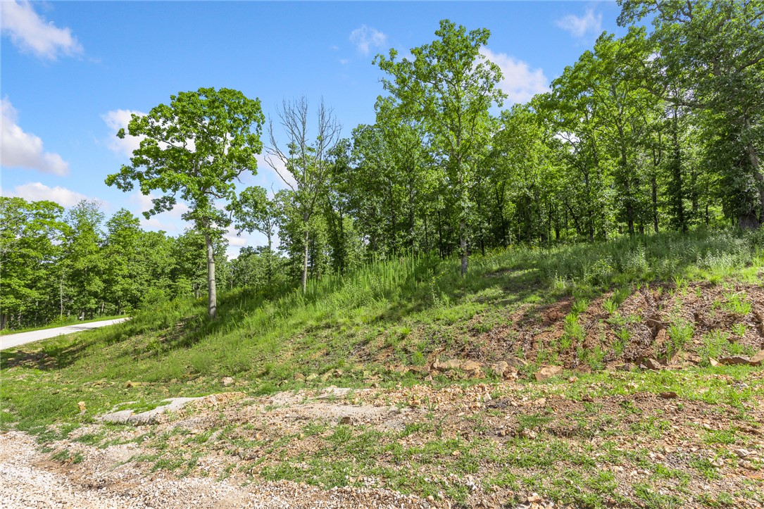The groundwork is already done for you! This lot comes fully equipped with underground utilities already in place, including natural gas, fiber optic internet, electric, public water, and sewer. No waiting, no guesswork, no costly setup—just a smooth, ready-to-build opportunity from day one. RME is the newest subdivision in Harrison, AR. If you’ve been dreaming of trading city lights for star-filled skies, RME delivers. Beyond your homesite, you’ll have access to a 350 acre common area reserved for residents, featuring a stocked fishing pond, hiking trails, Kissing Rock Trail, natural springs, Baby Canyon Trail, striking bluff lines and views that stretch for miles. *Terrapin Creek Rd will be paved to the entrance of Round Mountain Estates in the near future, per county officials.