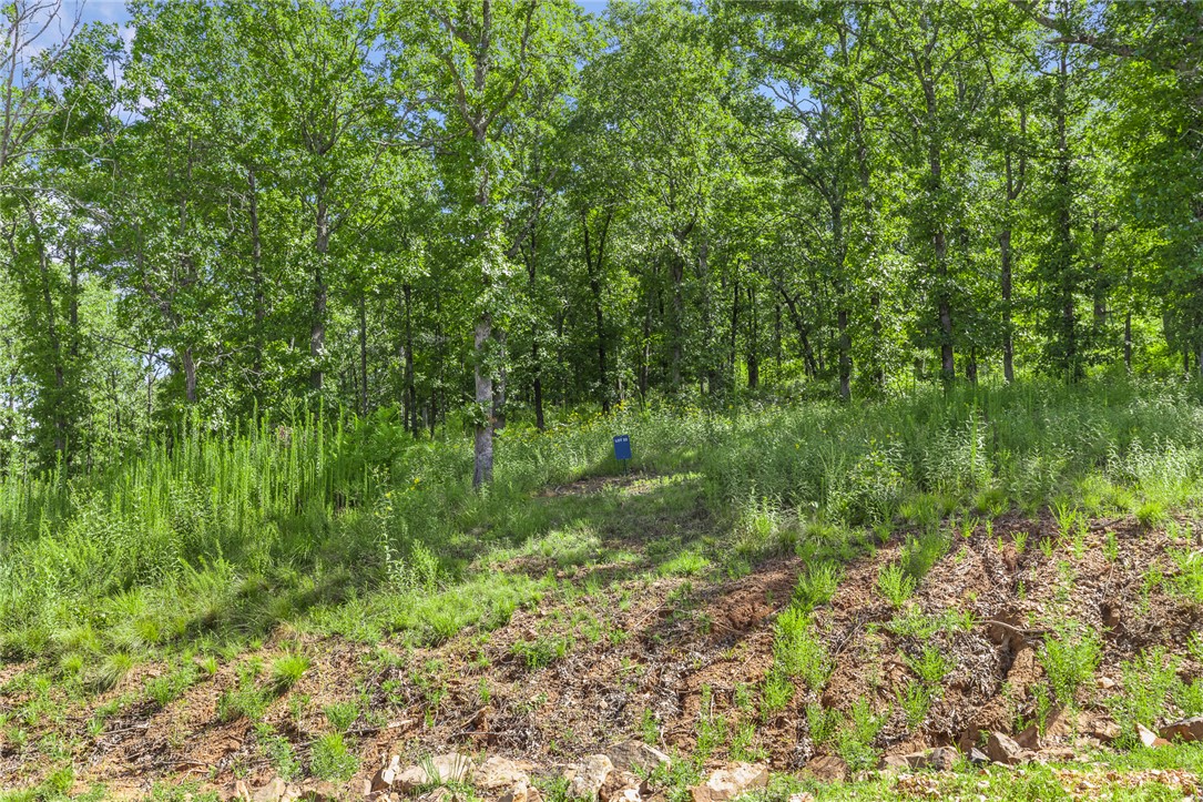 Round Mountain Estates - Land