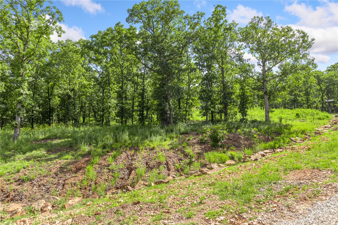 Round Mountain Estates - Land