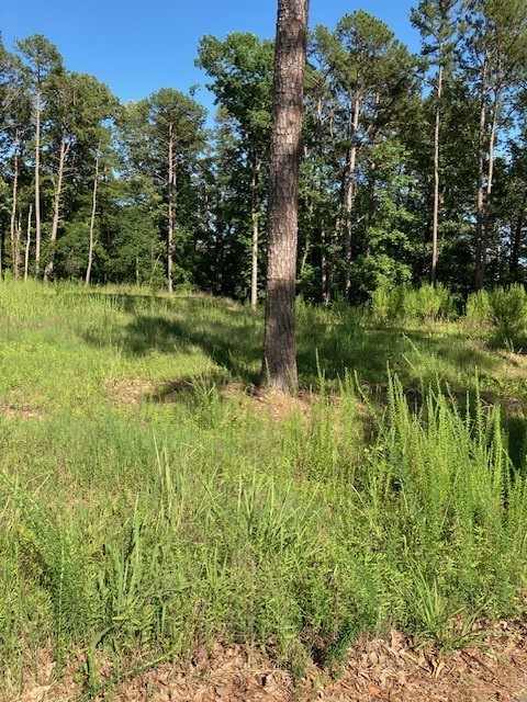 Woodland Shores - Land