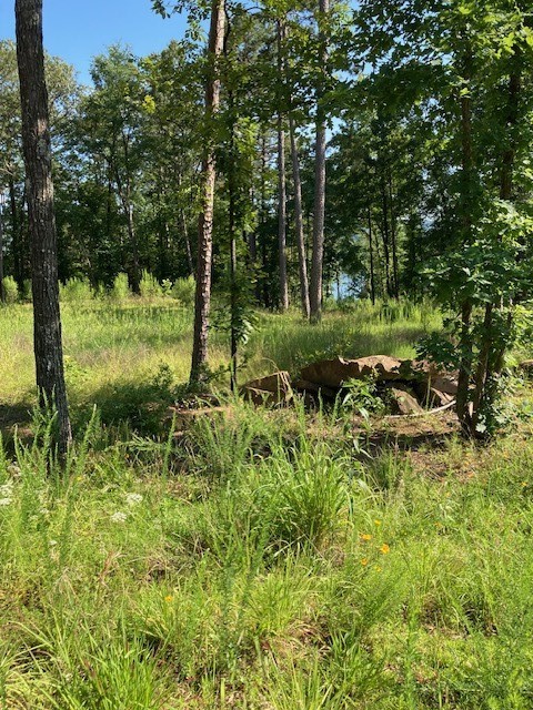 Woodland Shores - Land