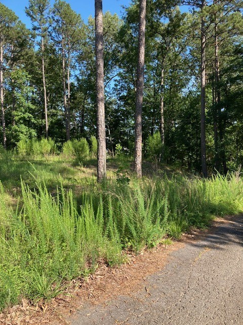 Woodland Shores - Land