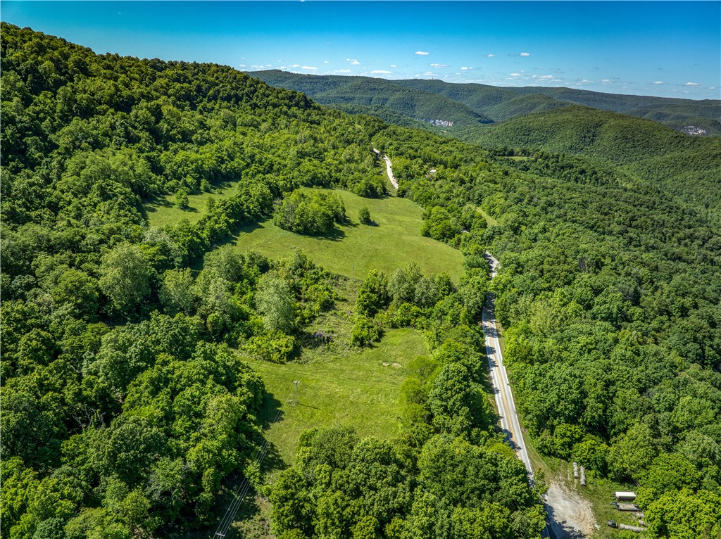 32.22 acres in the heart of Ponca, just minutes from Steel Creek and the Buffalo River, offering a rare opportunity to own a truly special piece of the Ozarks. The property features major Hwy 74 frontage, running along the highway for excellent access and visibility. With multiple potential building sites and beautiful surroundings, this land offers the flexibility to suit a variety of visions. Whether you’re looking to create a private retreat or explore development possibilities, the options here are wide open. Seller is willing to divide the property into two parcels.