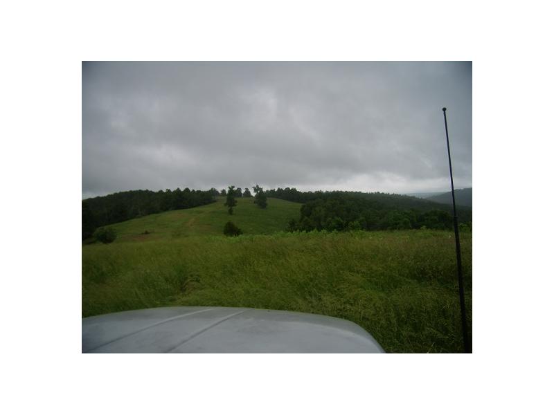 None - Farm