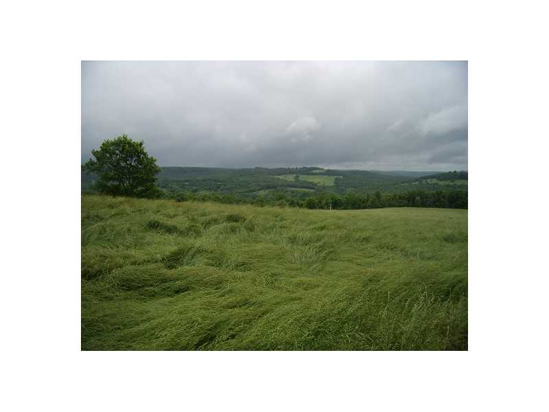 None - Farm