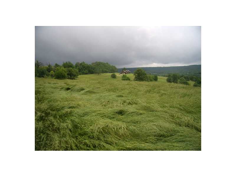 None - Farm