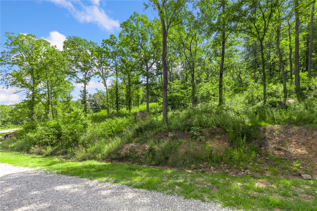 The groundwork is already done for you!  This lot comes fully equipped with underground utilities already in place, including natural gas, fiber optic internet, electric, public water, and sewer. No waiting, no guesswork, no costly setup—just a smooth, ready-to-build opportunity from day one. RME is the newest subdivision in Harrison, AR. If you’ve been dreaming of trading city lights for star-filled skies, RME delivers. Beyond your homesite, you’ll have access to a 350 acre common area reserved for residents, featuring a stocked fishing pond, Kissing Rock Trail, natural springs, Baby Canyon Trail, striking bluff lines and views that stretch for miles.  *Terrapin Creek Rd will be paved in the future, per county officials.
