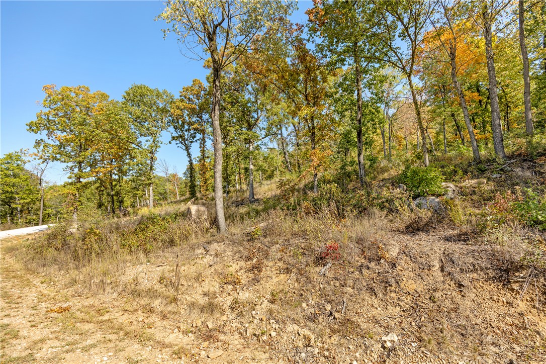 Round Mountain Estates - Land