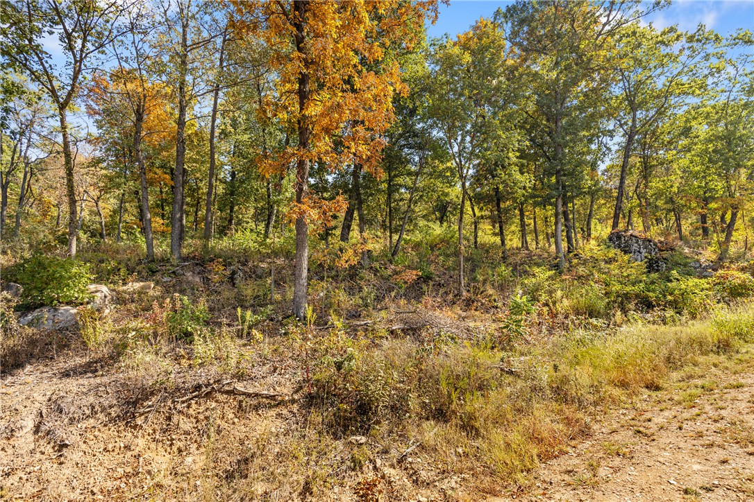 Round Mountain Estates - Land