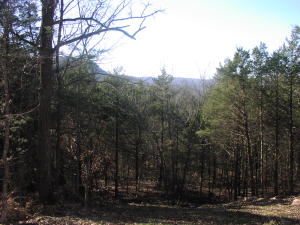 Very, very nice 40 plus acre tract with easy access with county road frontage. Only about 7 miles south of Jasper. Electric and rural water available. Small pond on property and some great views. Wildlife galore. New road cut into property. Lots of big trees and large boulders. More land available (MLS 134373 & MLS 134756).