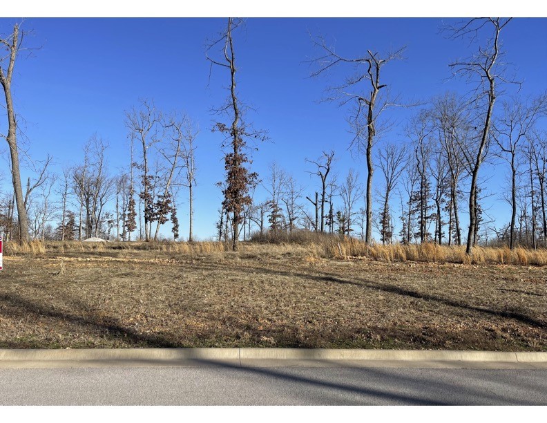 1 .09 Level Lot cleared and ready to build your dream home. This neighborhood is surrounded by natural preserve, with gorgeous springs and the little Osage creek. public electric , Gas, and water at street. Bentonville Schools.taxes are for unimproved lots only. Come build your dream home, choose your own builder.