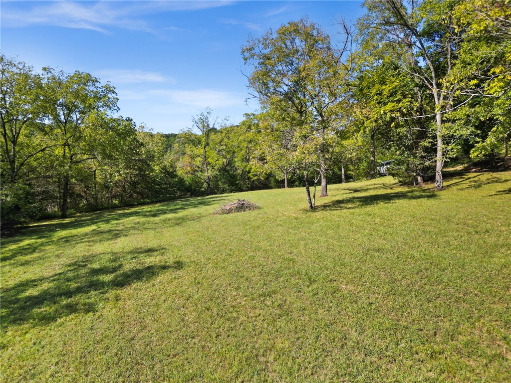 Big Clifty Shores Unit I Rurban - Land