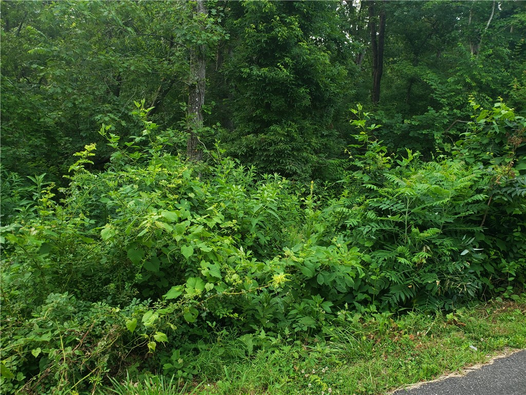 Don't miss out on your opportunity to buy this small slice of paradise in Bella Vista. This nice sized buildable lot is .35 acres. Just minutes from Granton Boat Landing on Loch Lomond, mountain bike trails and all that Bella Vista has to offer.
