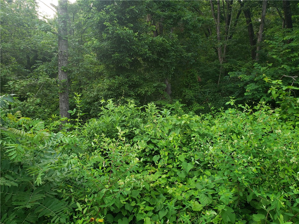 Evanton Sub Bvv - Land