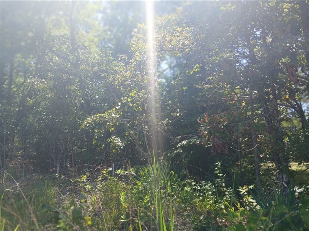 Section 7 - Land