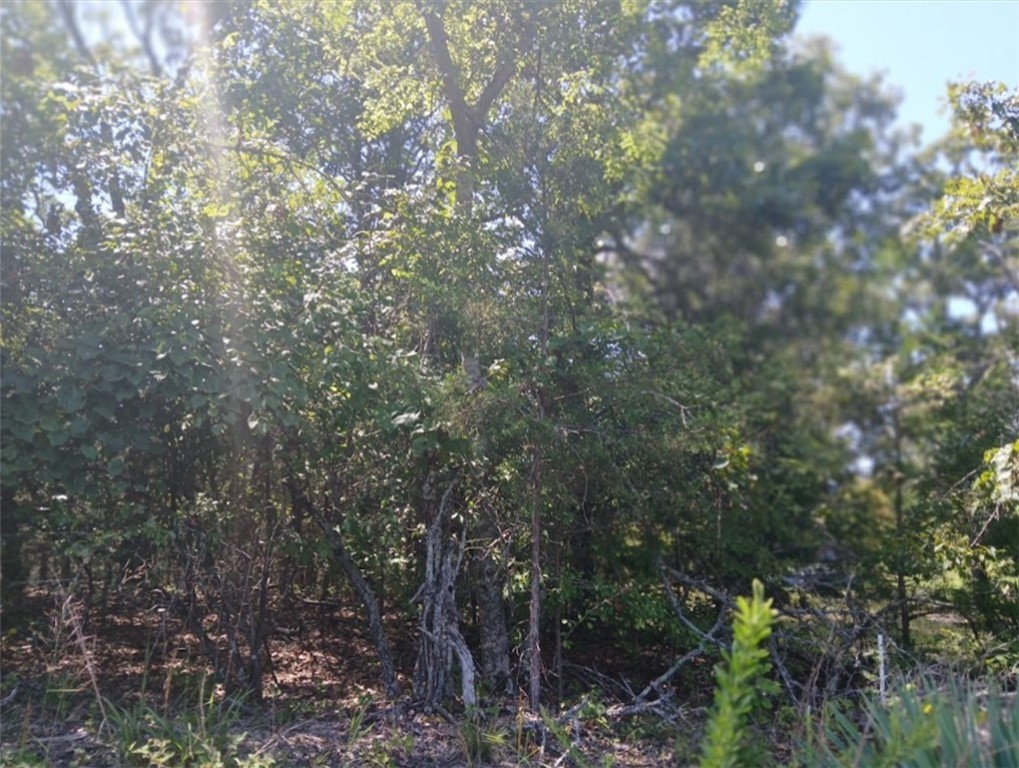 Section 7 - Land