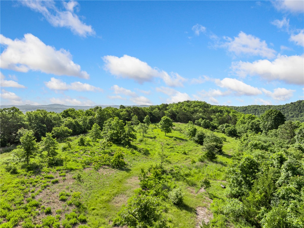 WOW! What a perfect mix of hunting land, open pasture, and beautiful scenery on this 98.47-acre unrestricted property. With a combination of wooded areas, rolling ground, ponds, and a wet-weather creek, this property offers great wildlife habitat and plenty of room to explore, hunt, or build your dream home.

The property features several excellent building sites with scenic views. Electric is already on the property, and there is an on-site well, giving you a strong start for building a home, cabin, or weekend getaway. With no restrictions, you have the freedom to use the property the way you want.

Located near Bull Shoals Lake and outdoor recreation, this property is just 30 minutes from Branson, Missouri, 35 minutes from Harrison, Arkansas, and 25 minutes from Tucker Hollow Marina. Whether you are looking for a hunting property, recreational retreat, or a place to build in the country, this property offers endless potential.