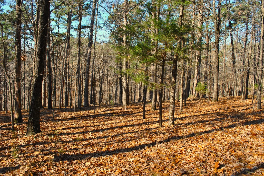 Hiking, biking & outdoor enthusiasts ! Don't miss this opportunity to own 3.1 beautiful & tranquil acres tucked away from busy city life. Build your dream home the way you envision with no restrictions here in the Ozarks ! The way to your new property winds through the unspoiled nature of Hobbs State Park. Incredible location with municipal water, electricity and paved road all of the 13 miles to Rogers. Recent survey with valid septic permit issued May 18,2026.  Also close to iconic War Eagle Mill & War Eagle Caverns. Lake access at end of Pullum Place Rd ~2.5 miles away. Hidden Diversity Piney Trailhead ~1.5 miles away & the Townsend Ridge Rd Trail access is ~1 mile away. 4 Wheel Drive not necessary but low clearance vehicles may want to park at street and walk in at sign.