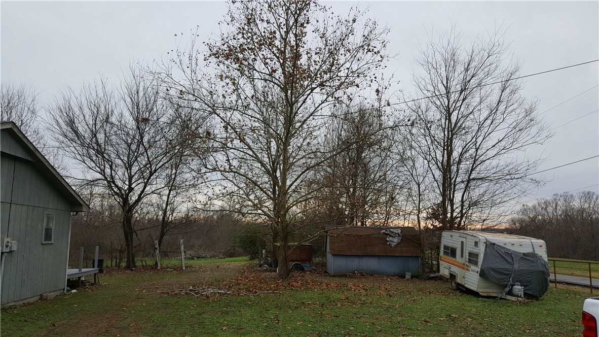Little Flock - Residential
