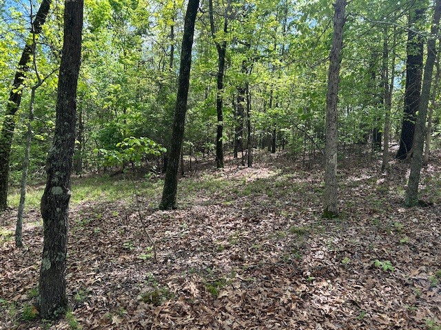 1.36 Acres with Well, Septic, Electric, and phone close to Buffalo River, White River, and National Parks.  This serene location awaits you for a Dream House or just a weekend Cabin.