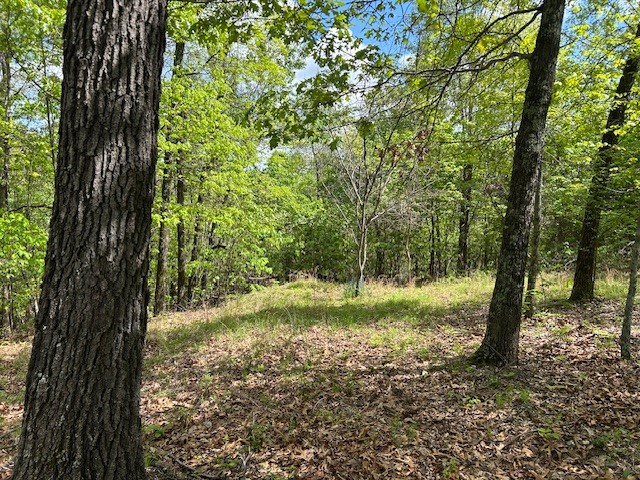 - - Land
