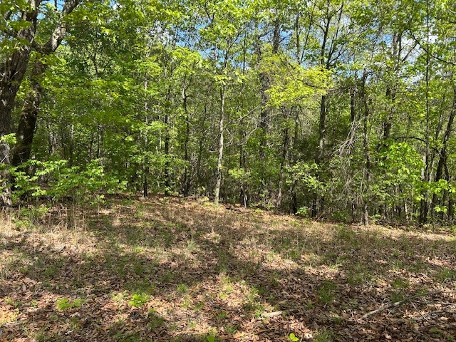 - - Land