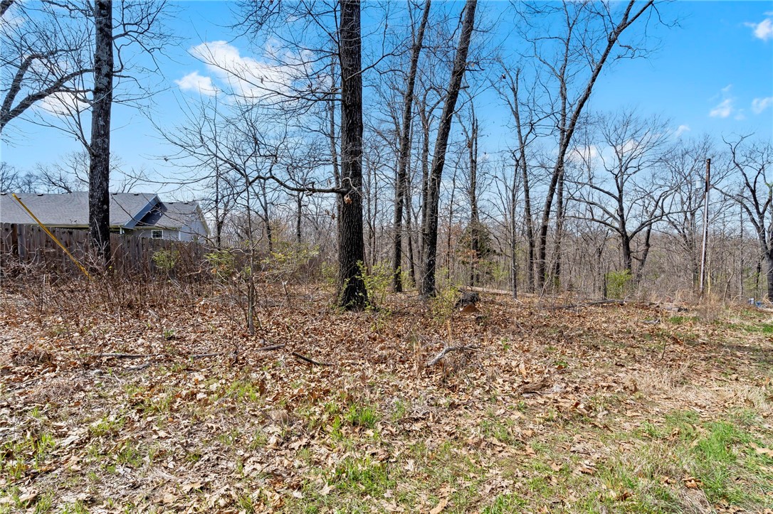 Are you ready to bring your dream home to life? This +/- 0.20 acre lot in Bella Vista is an ideal location for  your vision! With on-site septic needed (percs for a two-bedroom residence), and all other utilities conveniently accessible at the street, this lot is the perfect place for your dream home. Situated in a cul-de-sac off Forest Hills Blvd/279 and close to the "Bamboozled" Mountain Bike Trail, it provides both serenity and easy access to outdoor recreation.