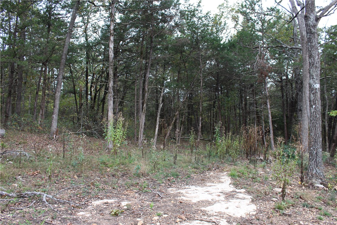 Huckleberry Point - Land