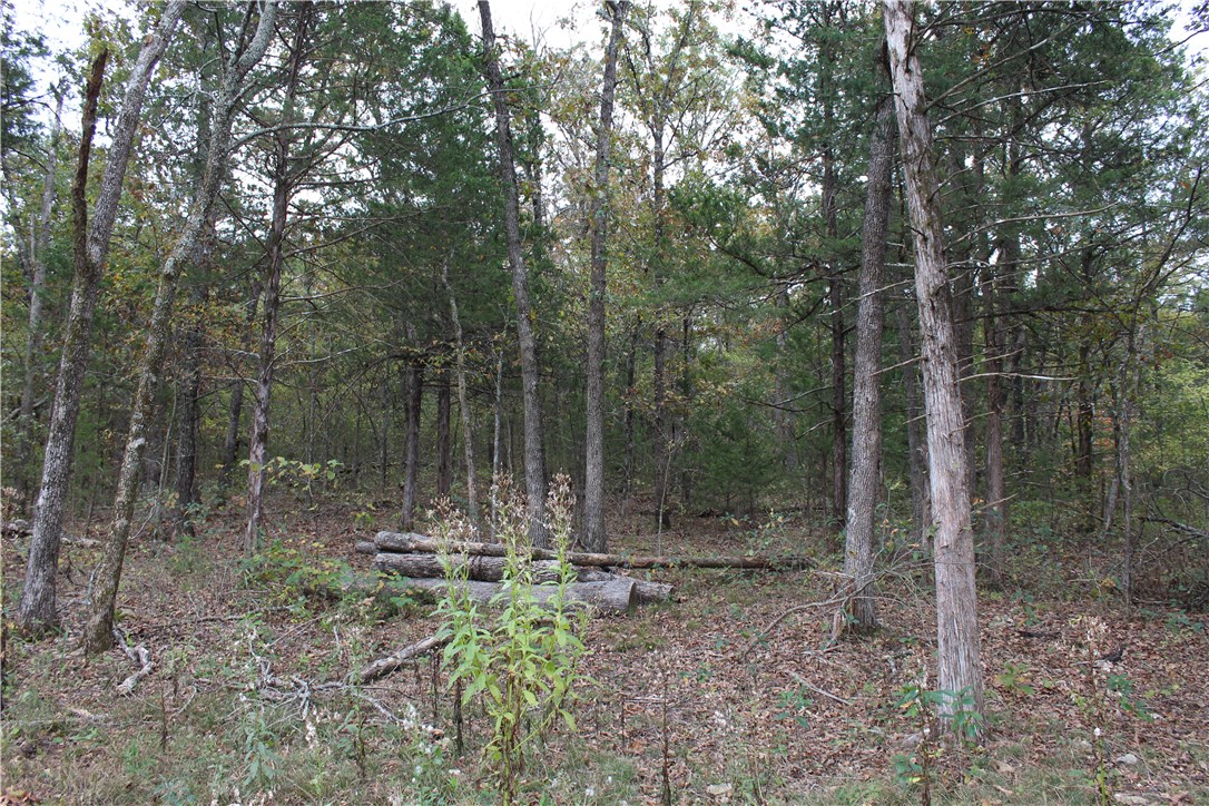 Huckleberry Point - Land