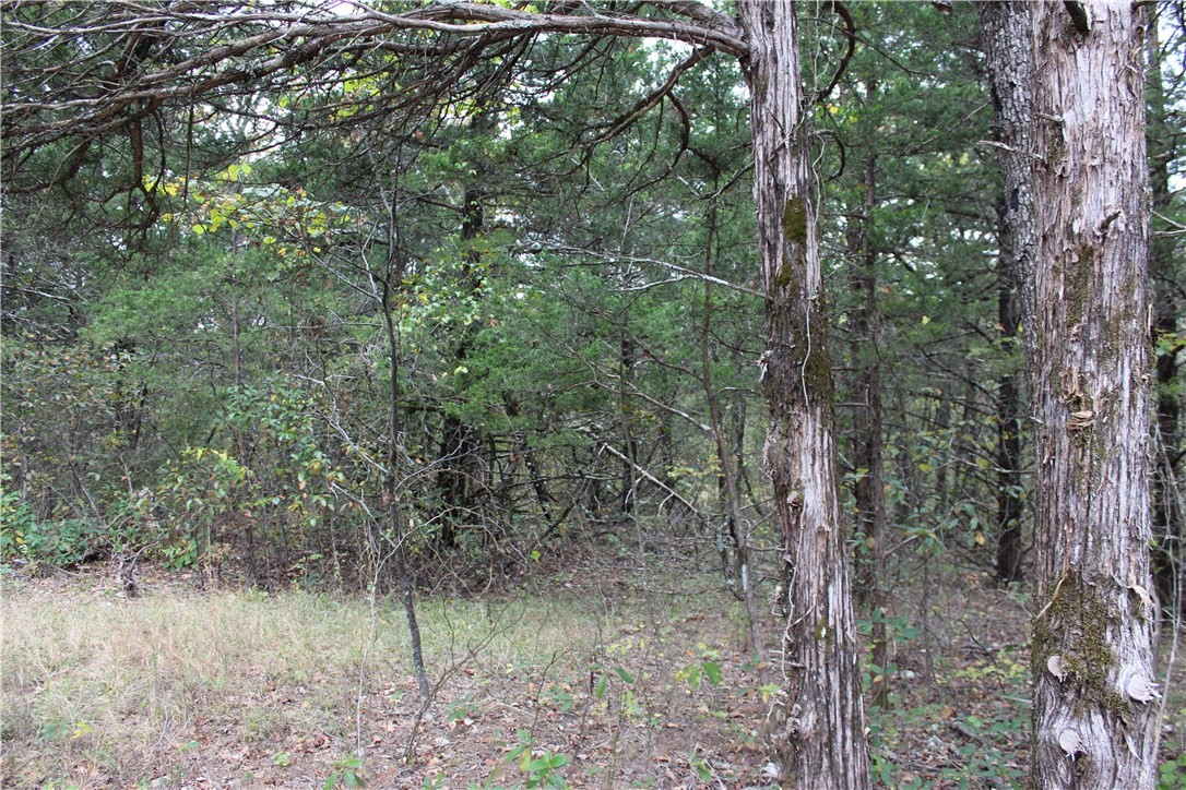 Huckleberry Point - Land