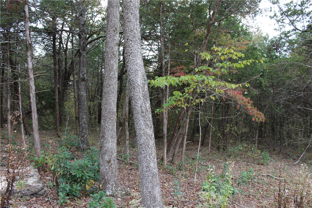 Huckleberry Point - Land