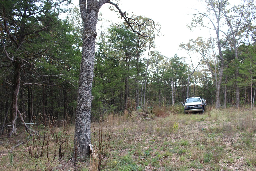 Huckleberry Point - Land
