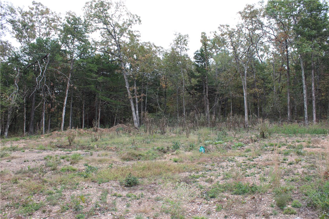 Huckleberry Point - Land