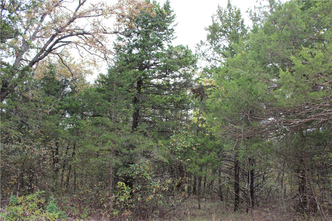 Huckleberry Point - Land