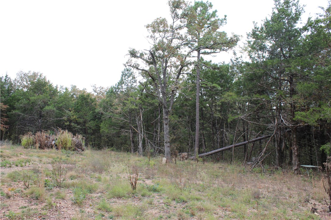 Huckleberry Point - Land