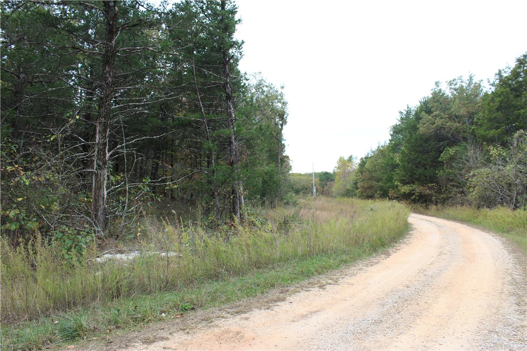 Huckleberry Point - Land