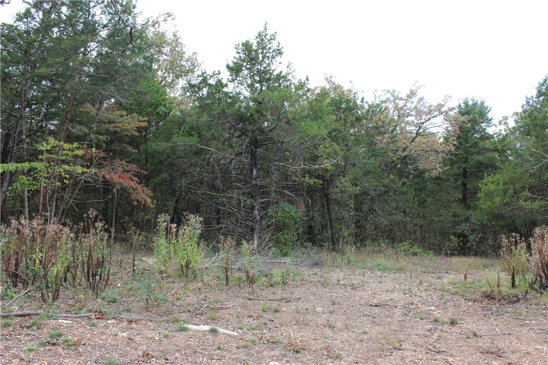 Huckleberry Point - Land