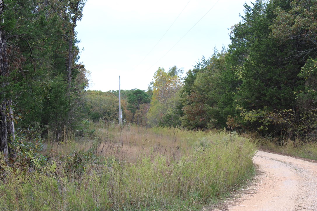 Huckleberry Point - Land