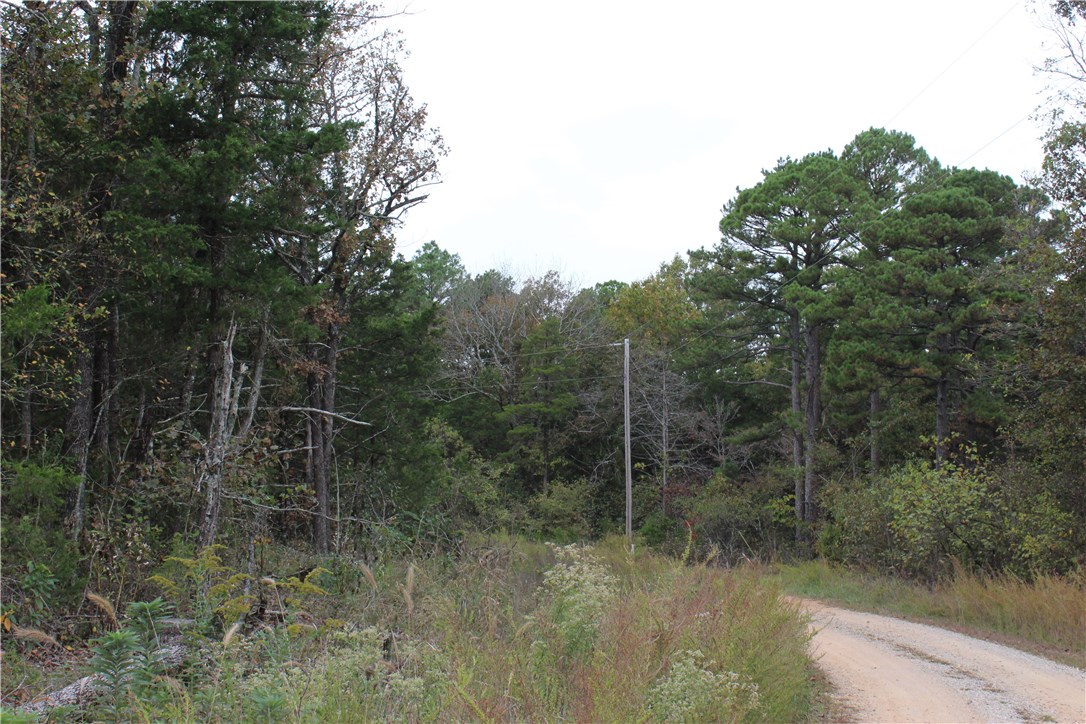 Huckleberry Point - Land