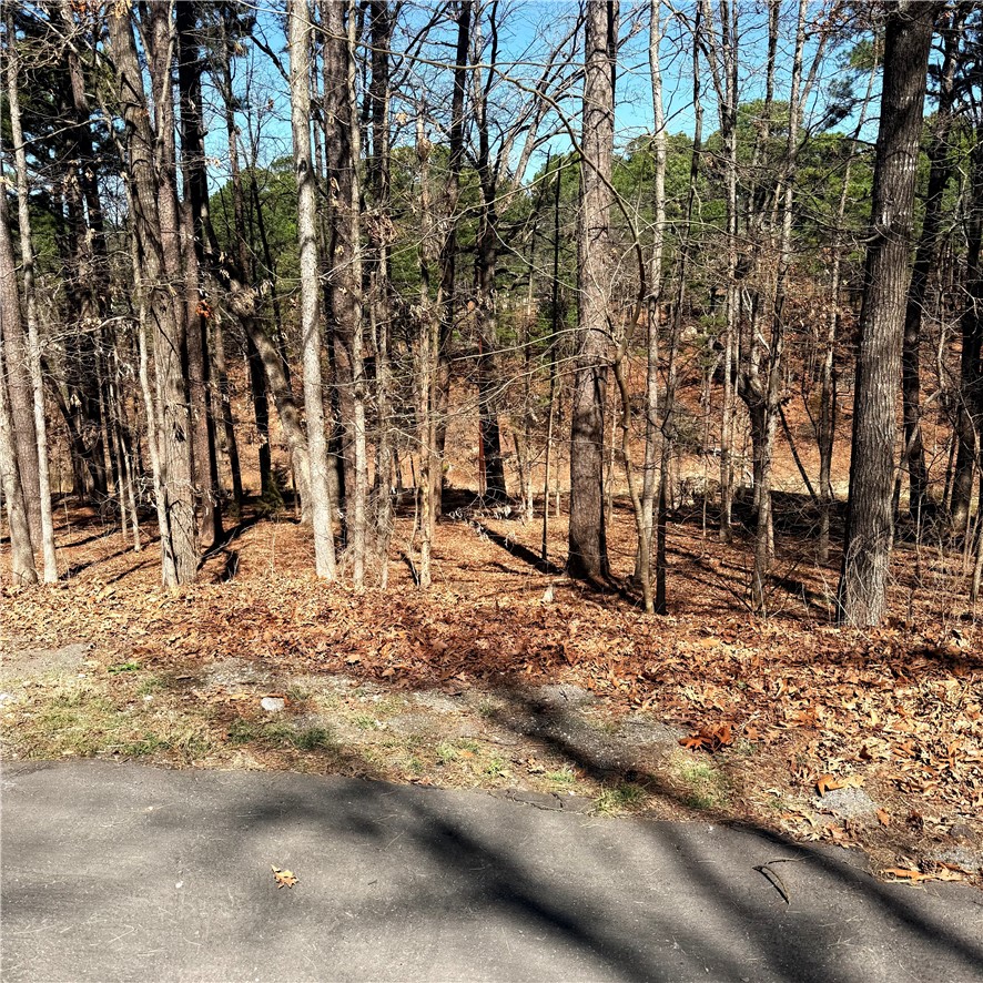 Come check out this nice size lot  .34 in Bella Vista, not far from the Back 40 mountain bike trail. This lot offers peace and quiet In a beautiful setting ready for your new home. Hop on your bike and take a ride or go for a walk on the surrounding paved roads.