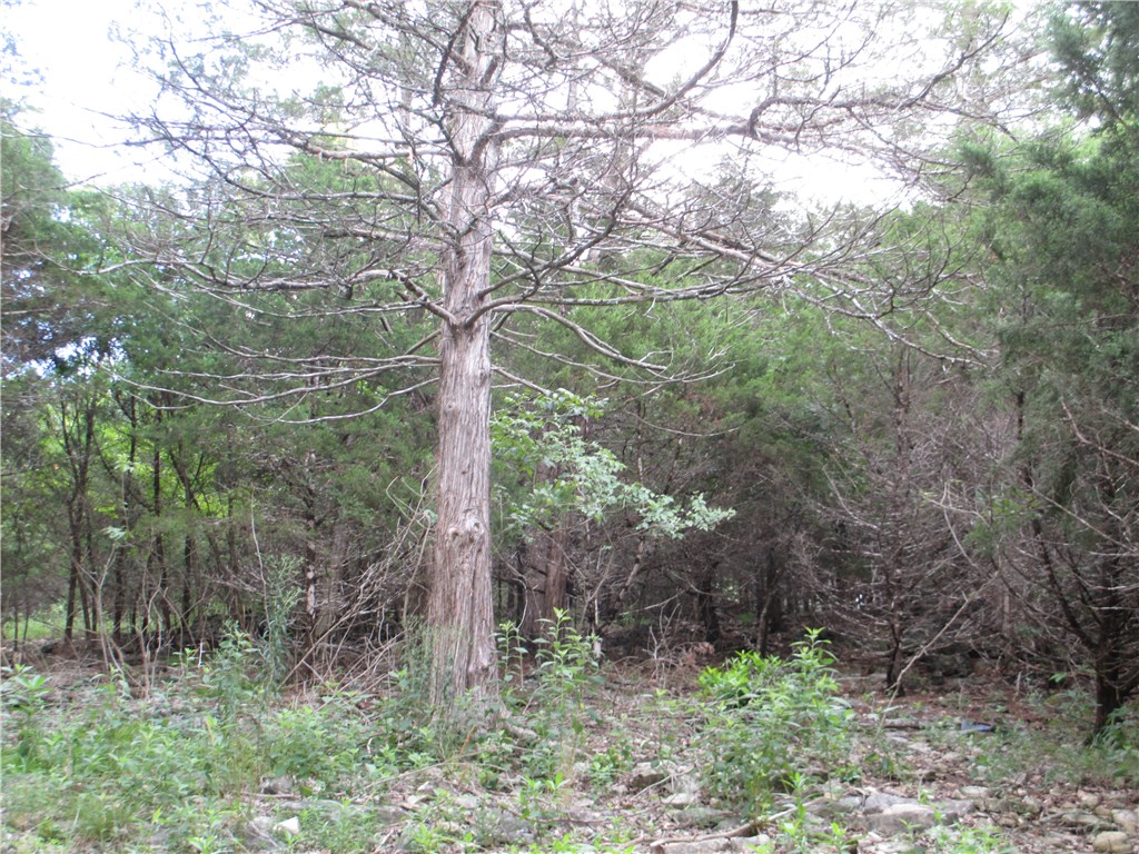 Unit 117 Holiday Island - Land